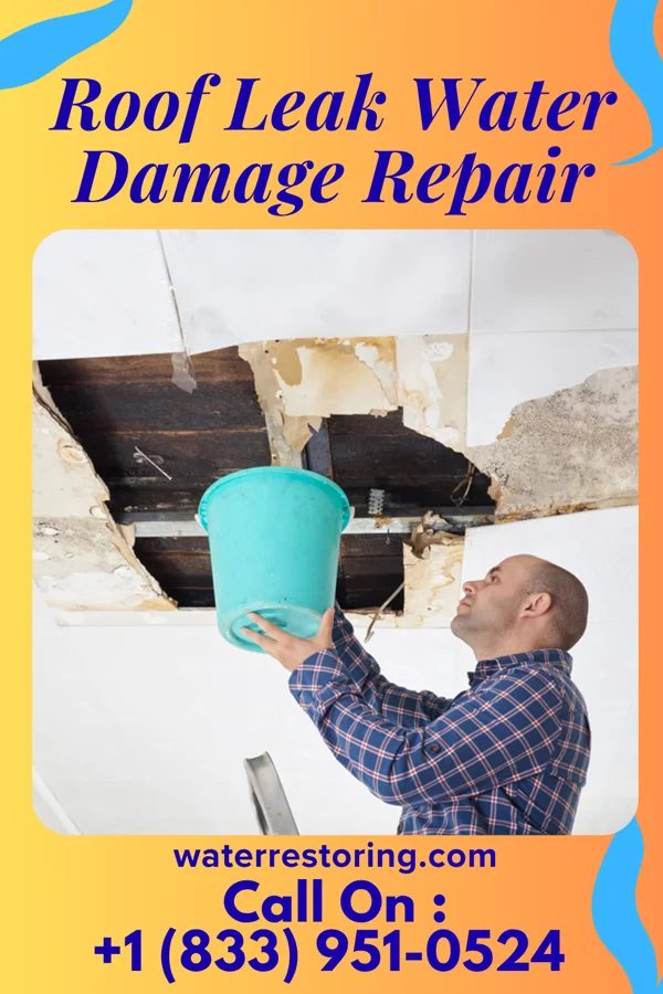 Roof Leak Water Damage Repair in Newtown, OH