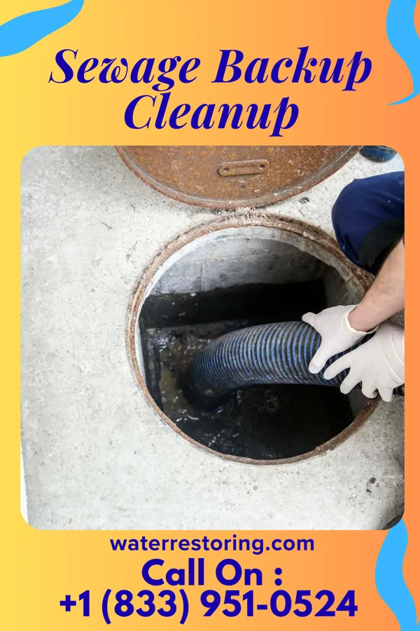 Sewage Backup Cleanup in Newtown, OH