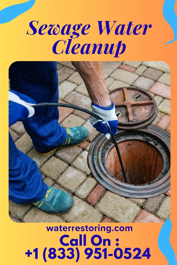 Sewage Water Cleanup in Newtown, OH