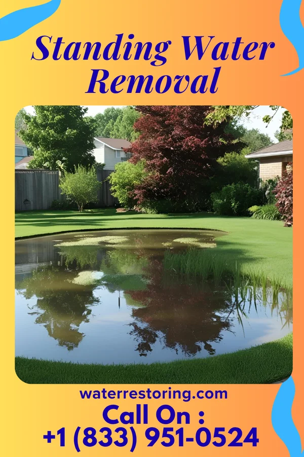 Standing Water Removal in Newtown, OH